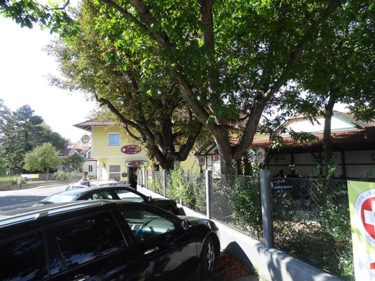 A shady garden with trees and parked cars in front of a yellow building.