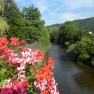 River with colorful flowers in the foreground and wooded hills in the background.