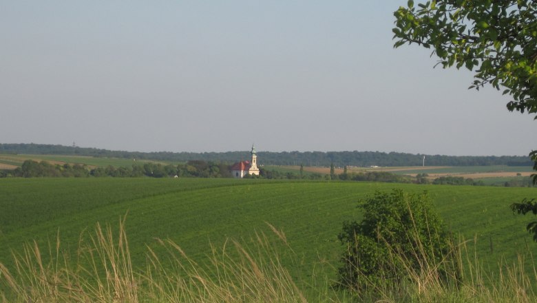 Landscape with a church in the distance, surrounded by green fields and trees.