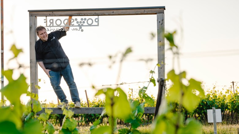 A man stands in a wooden frame in a vineyard, surrounded by green leaves.