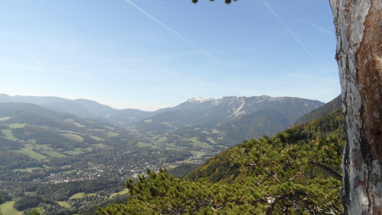 View of the upper Schwarzatal valley with mountains and trees in the foreground.