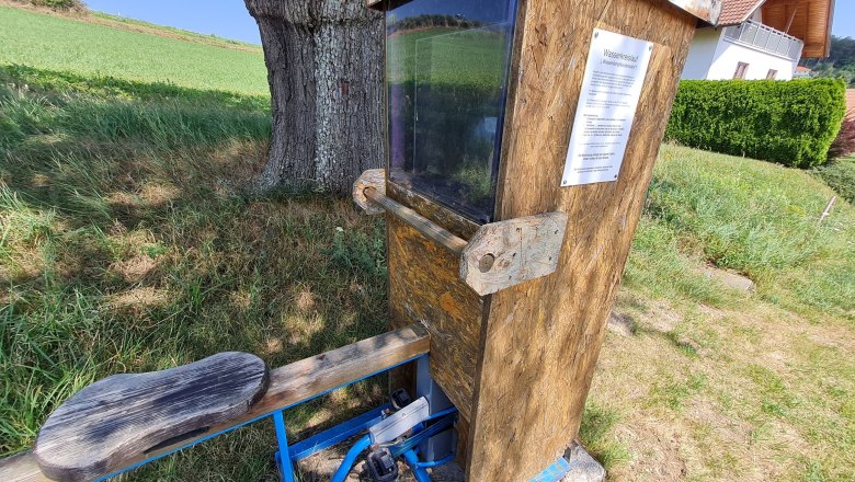 weather trailhollenthonccorneliaschuh-16_web, &copy; Wiener Alpen, Schuh