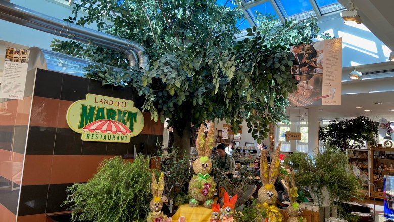 Interior view of a restaurant with decorations and plants.