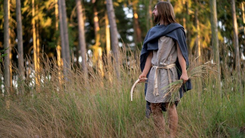 Early Bronze Age farmer with sickle during the harvest - Life-size image, &copy; Benedict Seidl
