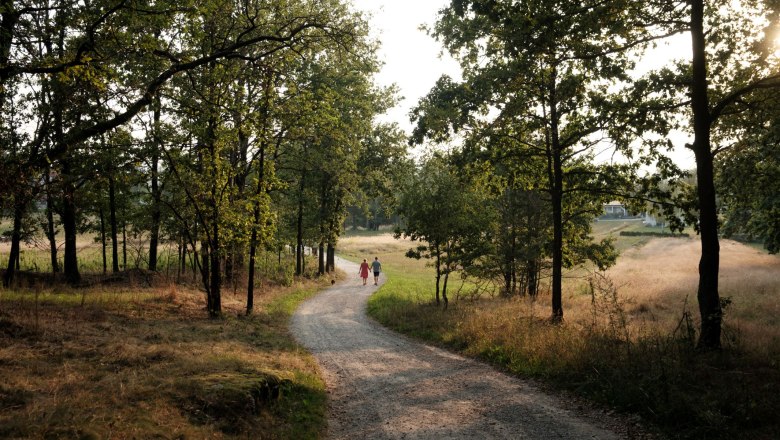 Breaking new ground, © Klaus Ewert, Fotograf Laurin Buitmann