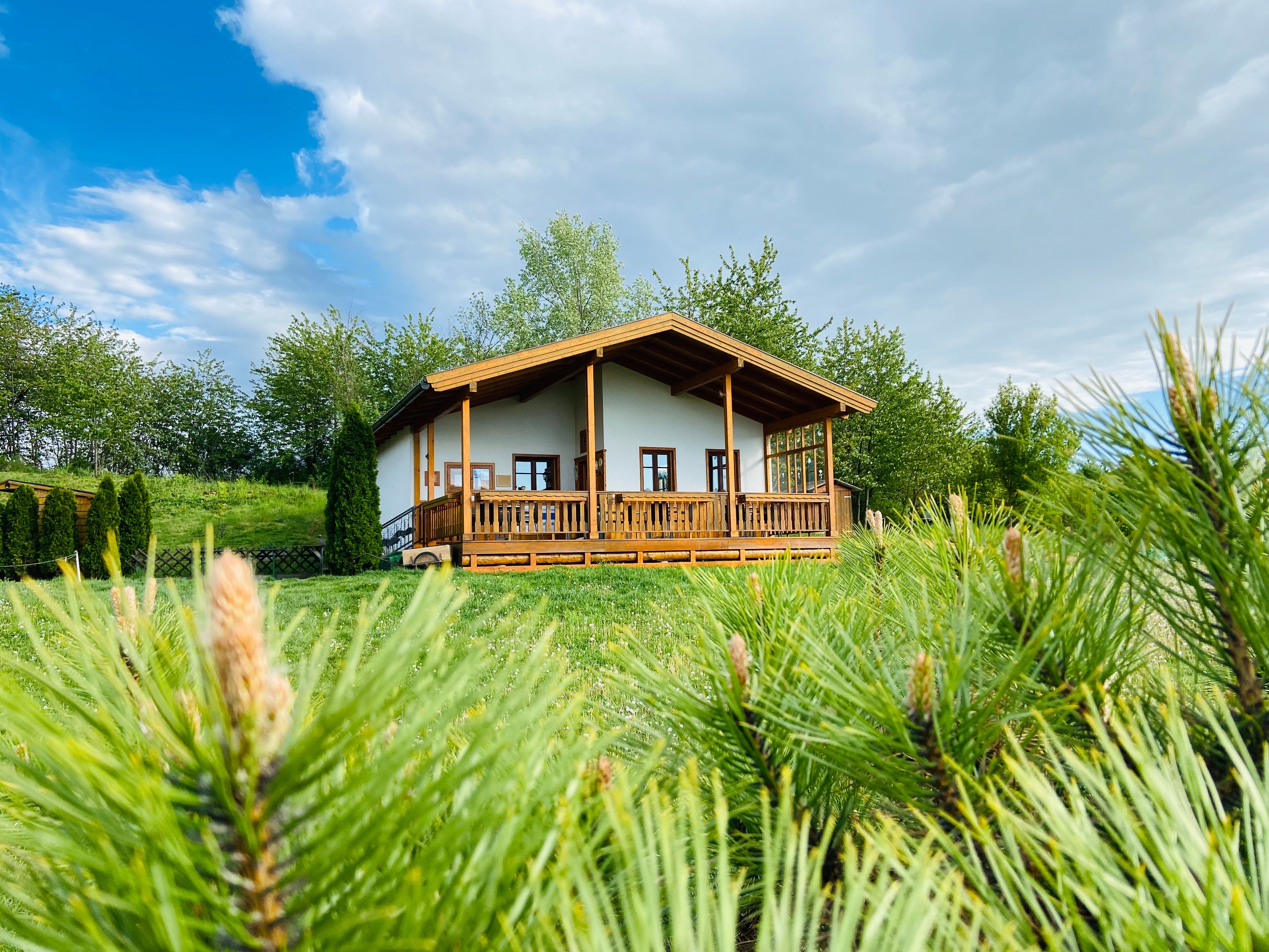 A small wooden house with a veranda stands on a green meadow, surrounded by trees and bushes under a cloudy sky.