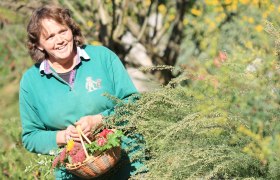 Steinschaler Garden, © Mostviertel Tourismus, weinfranz.at