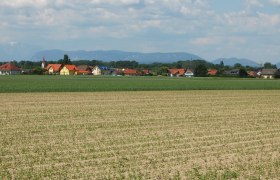 Landscape with fields and village in the background, mountains on the horizon.