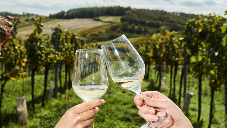 Two people clink glasses in a vineyard.