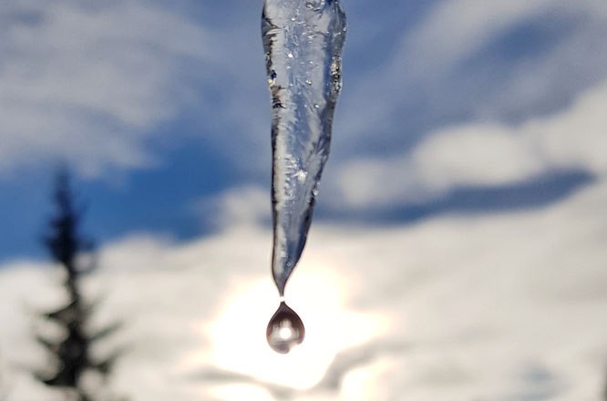 An icicle with a drop of water in front of a cloudy sky and trees in the background.
