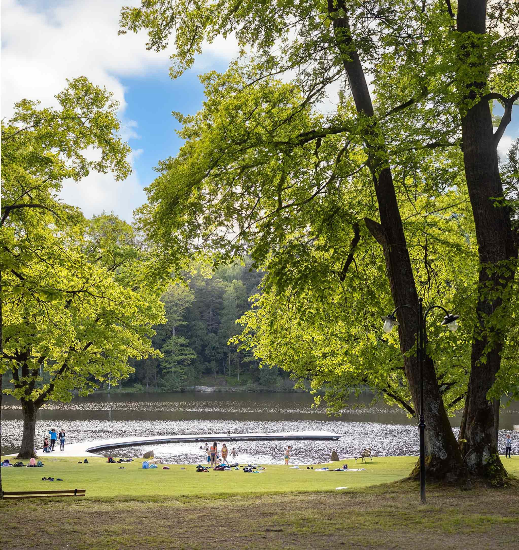 People are relaxing on a meadow by the lake, surrounded by trees.