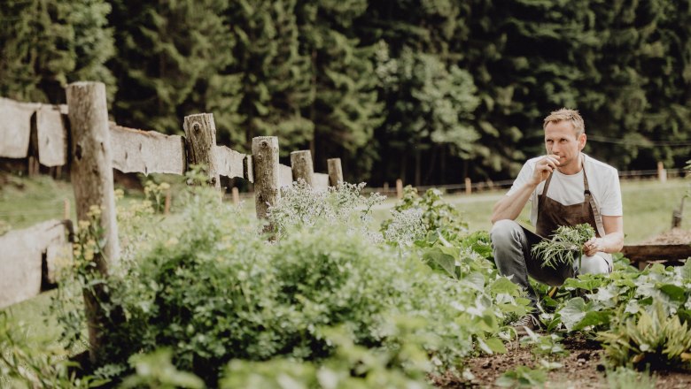A man in an apron kneels in a vegetable garden and smells herbs, surrounded by green plants and a wooden fence.