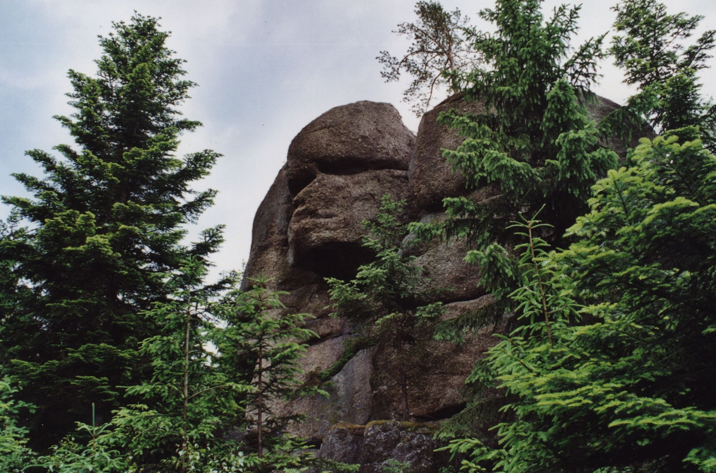 A large rock that resembles a face, surrounded by trees.