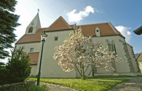 Parish church Maria Himmelfahrt with blossoming tree in the foreground.
