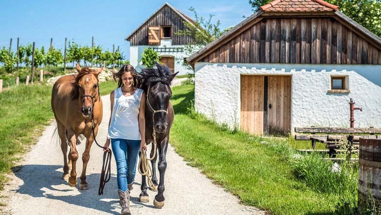 Horse moments, © Cornelia Ulrich