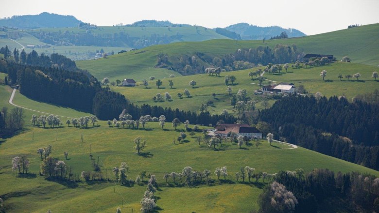 Photo point Mostviertel, © schwarz-koenig.at