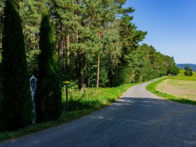 Richtung Jasenegg, © Unknown