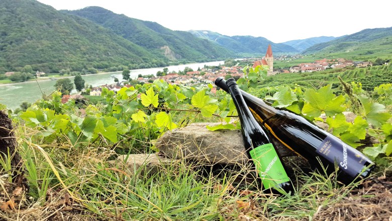 Two bottles of wine in the vineyard with a view of the river and village.