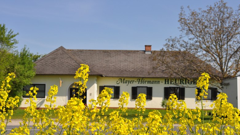 Exterior view of a wine tavern with yellow flowers in the foreground.