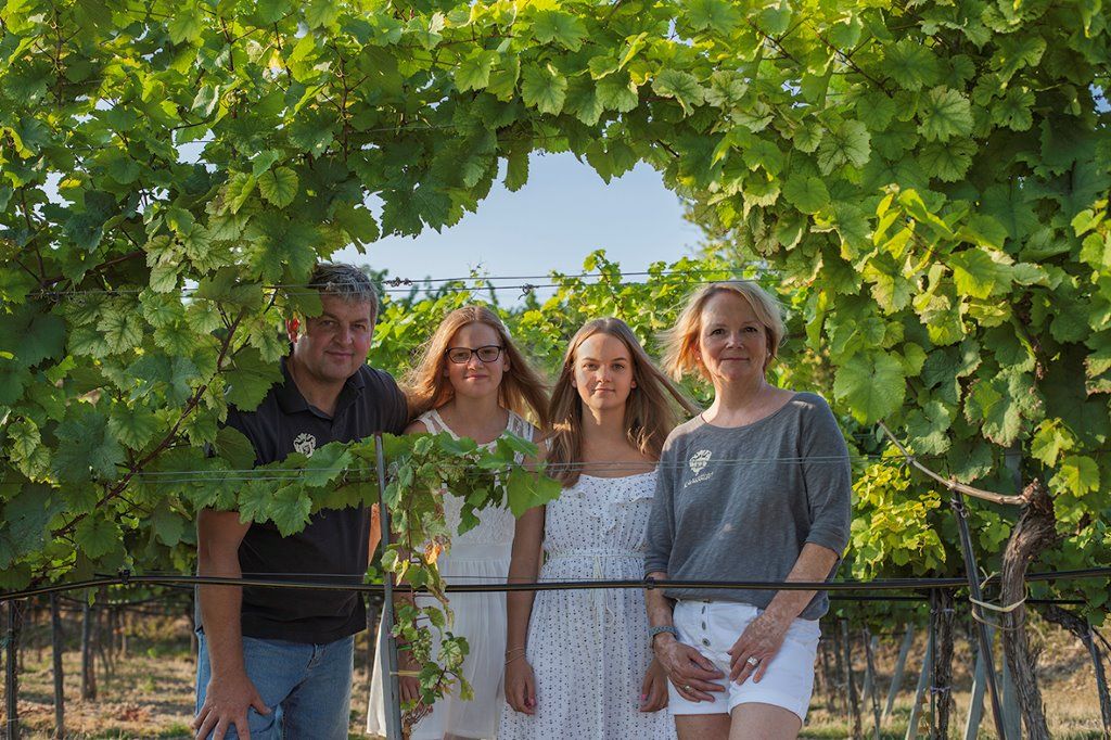 Four people are standing in a vineyard, surrounded by green vines.