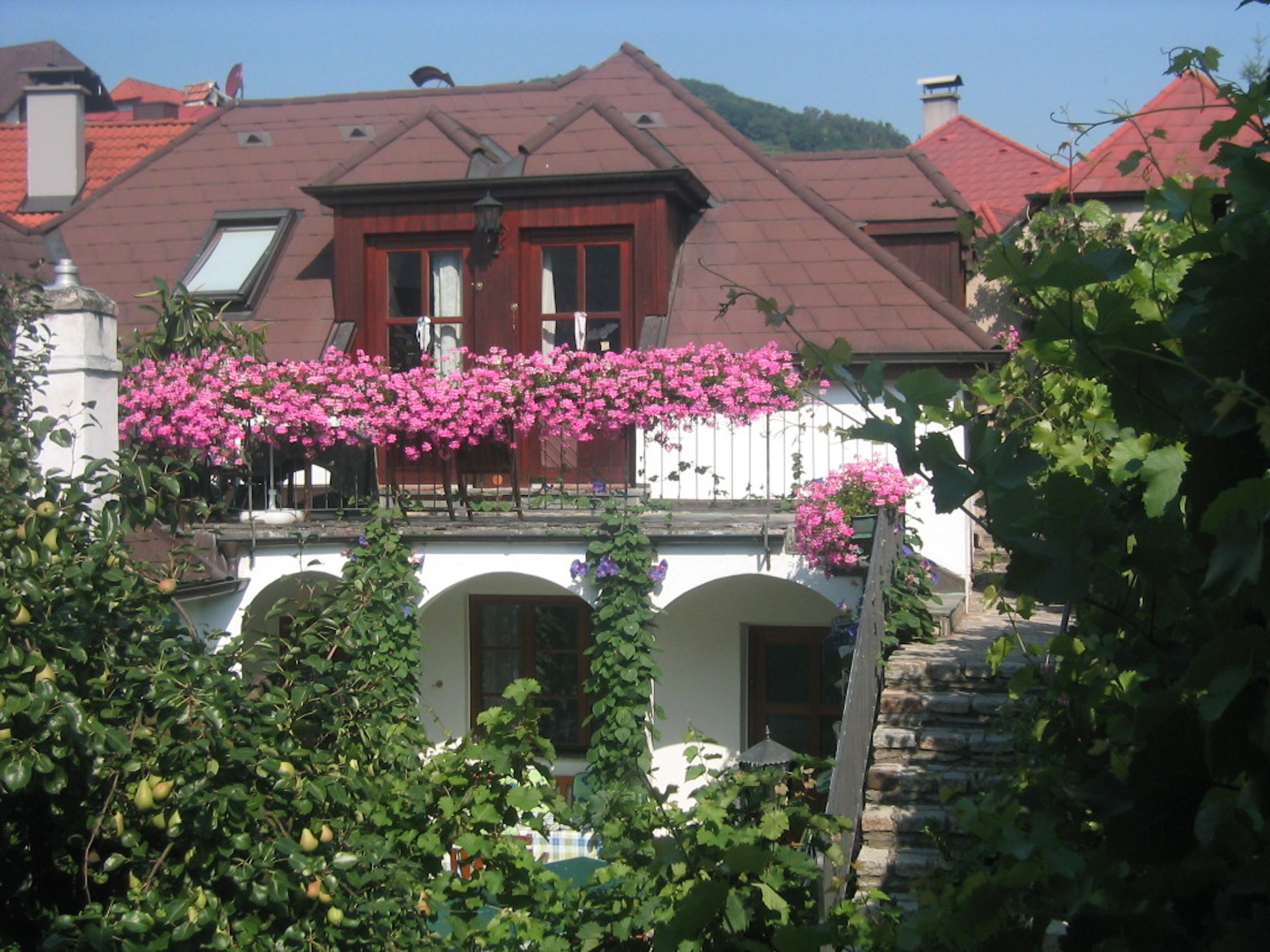 A guest house with a balcony full of pink flowers, surrounded by green vegetation.