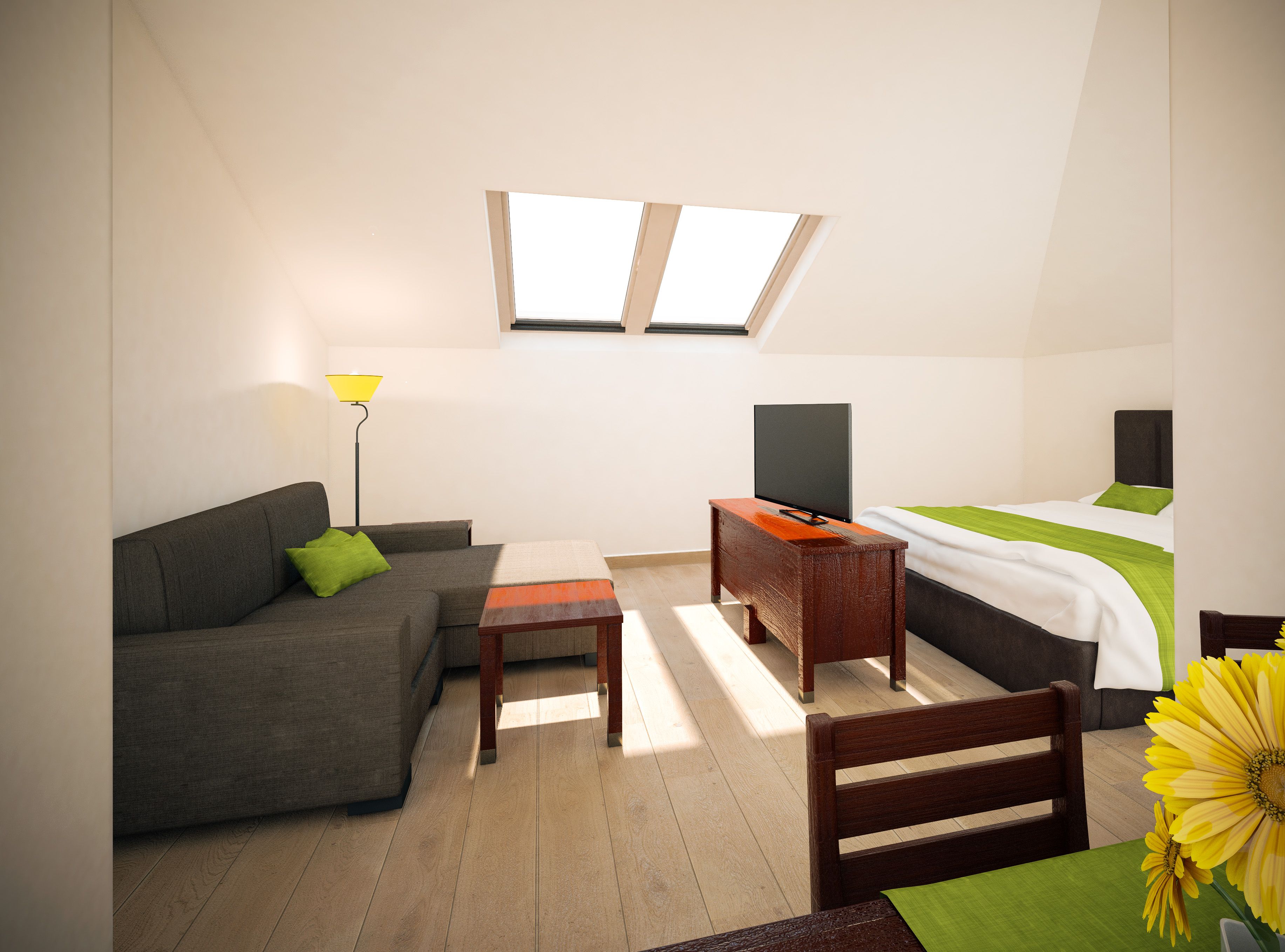 Bright apartment with skylights, sofa, bed, TV and dining table.