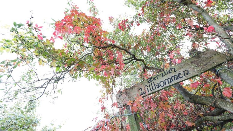 Welcome to Kirnberg, &copy; schwarz-koenig.at