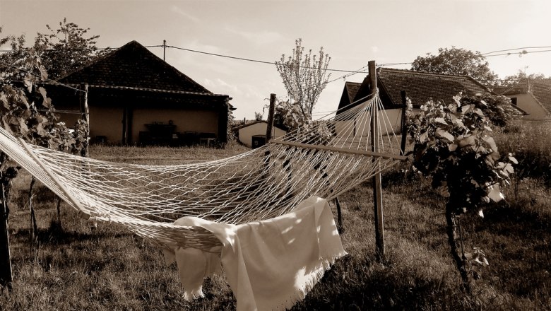 Hammock in a vineyard with houses in the background.