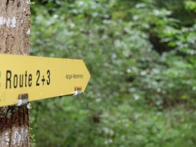 Directional arrow for hiking trails, &copy; "Tut Gut!"