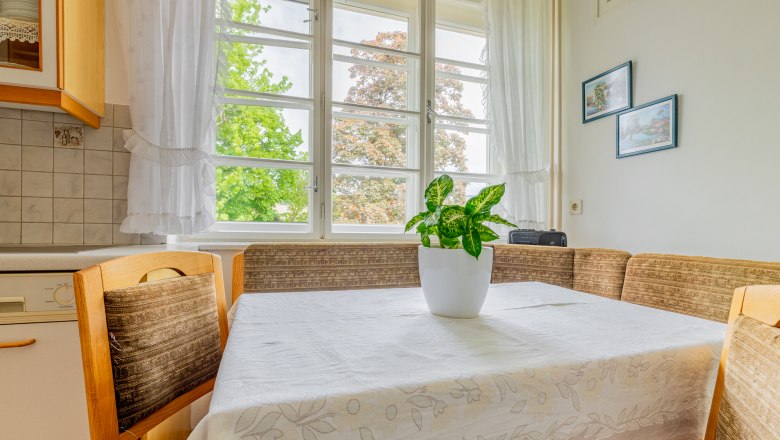 A bright room with a table with a plant on it and a large window with a view of trees.
