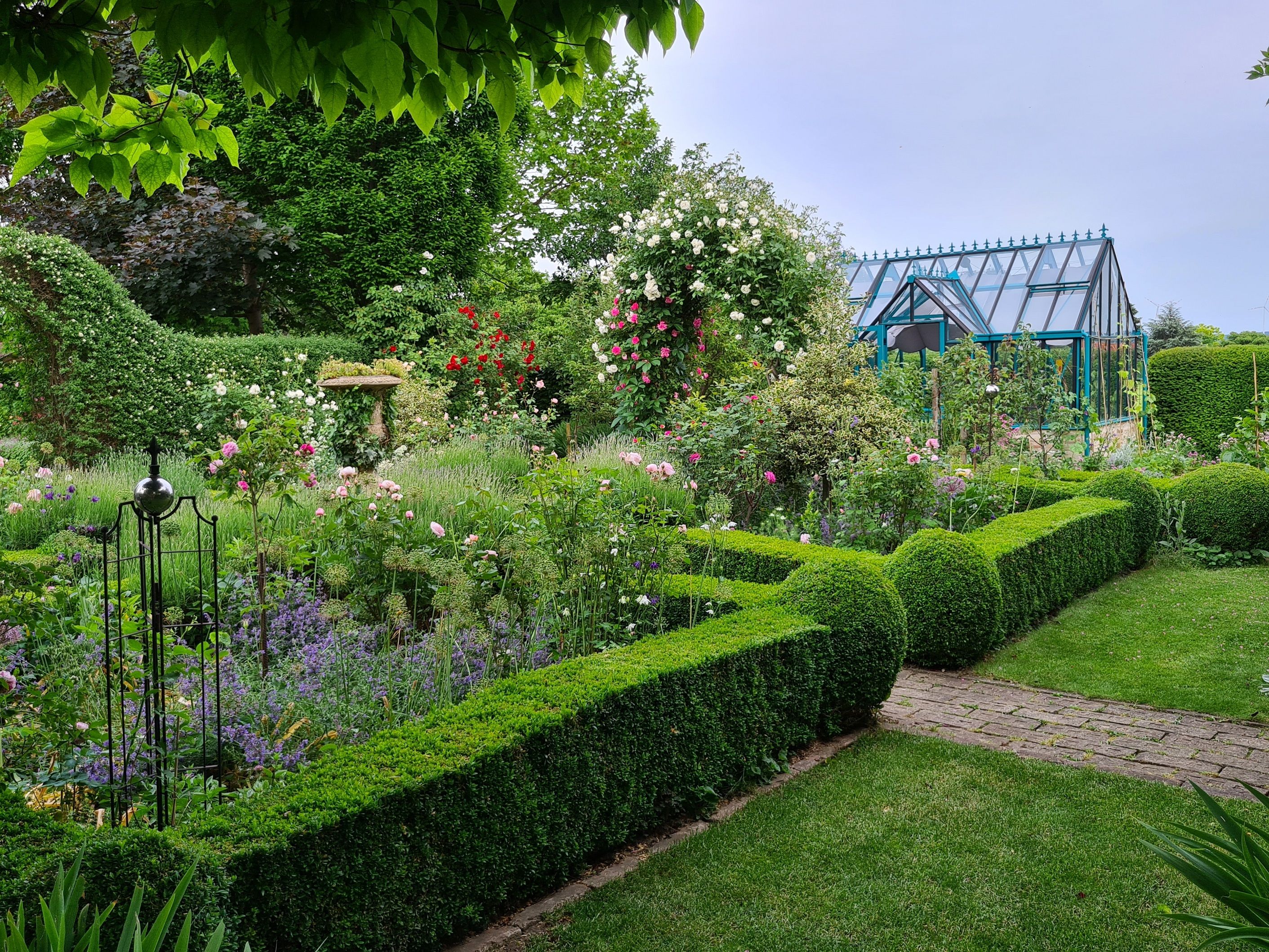 A well-tended garden with roses, hedges and a greenhouse in the background.
