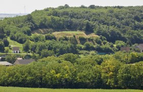 Landscape with wooded hill and houses in the foreground.