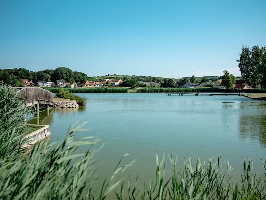 A quiet pond with a jetty and surrounding houses in Poysdorf.