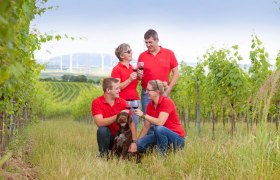 Four people in red shirts and a dog in a vineyard.