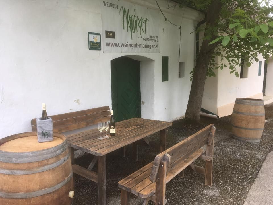 under the walnut tree in front of the Maringer cellar