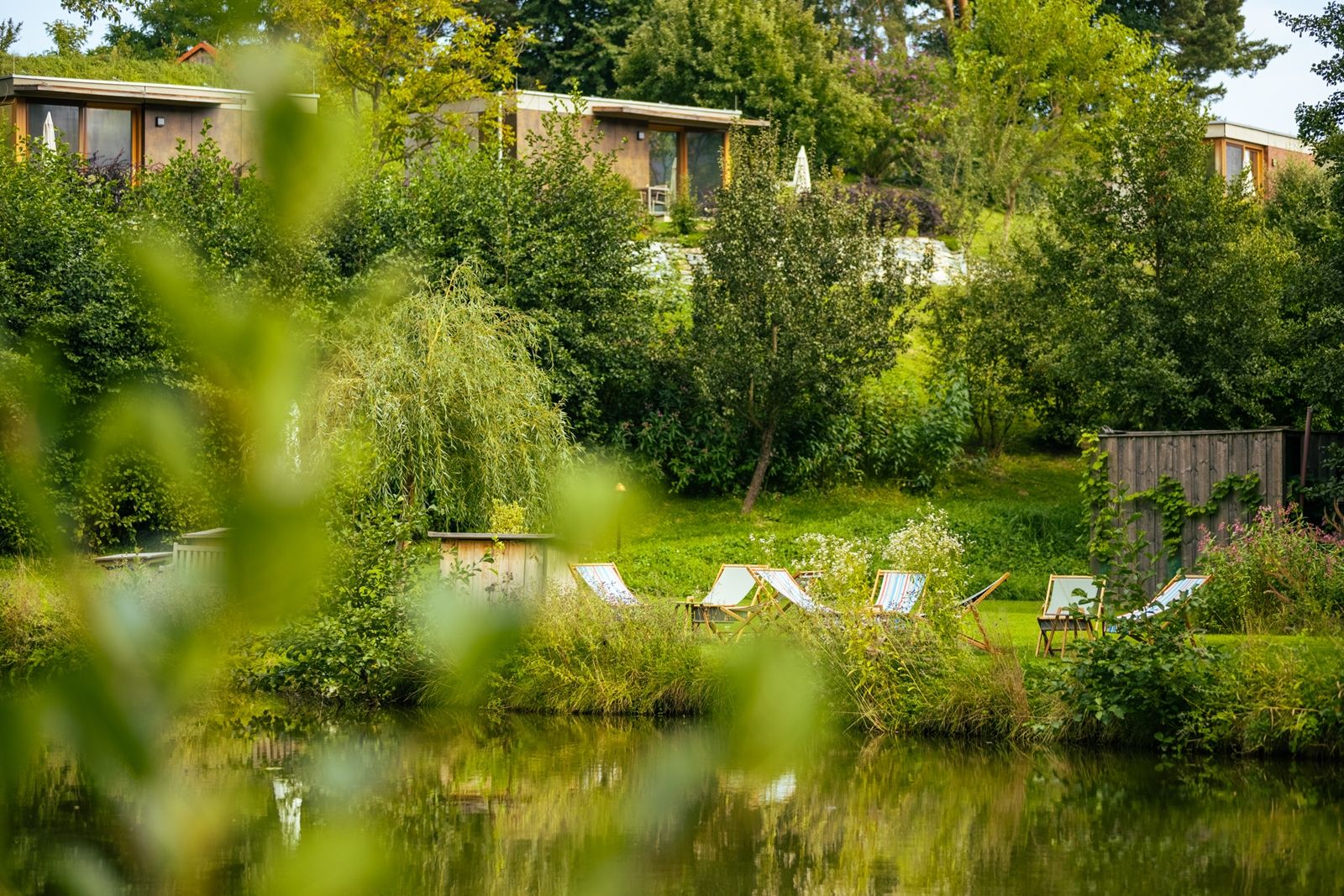 A peaceful garden with sun loungers by the pond, surrounded by trees and green vegetation.
