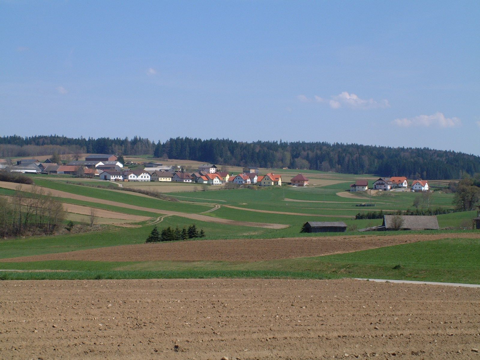 Landscape with fields and village in the background, surrounded by forest.
