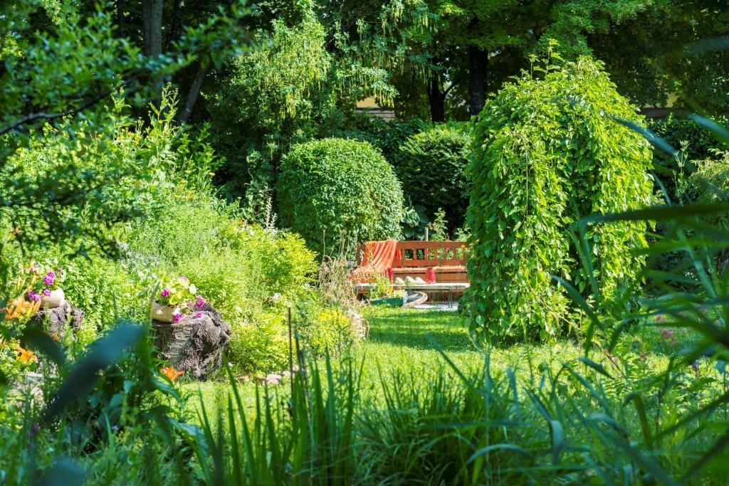 A green garden with a red bench, surrounded by bushes and flowers.