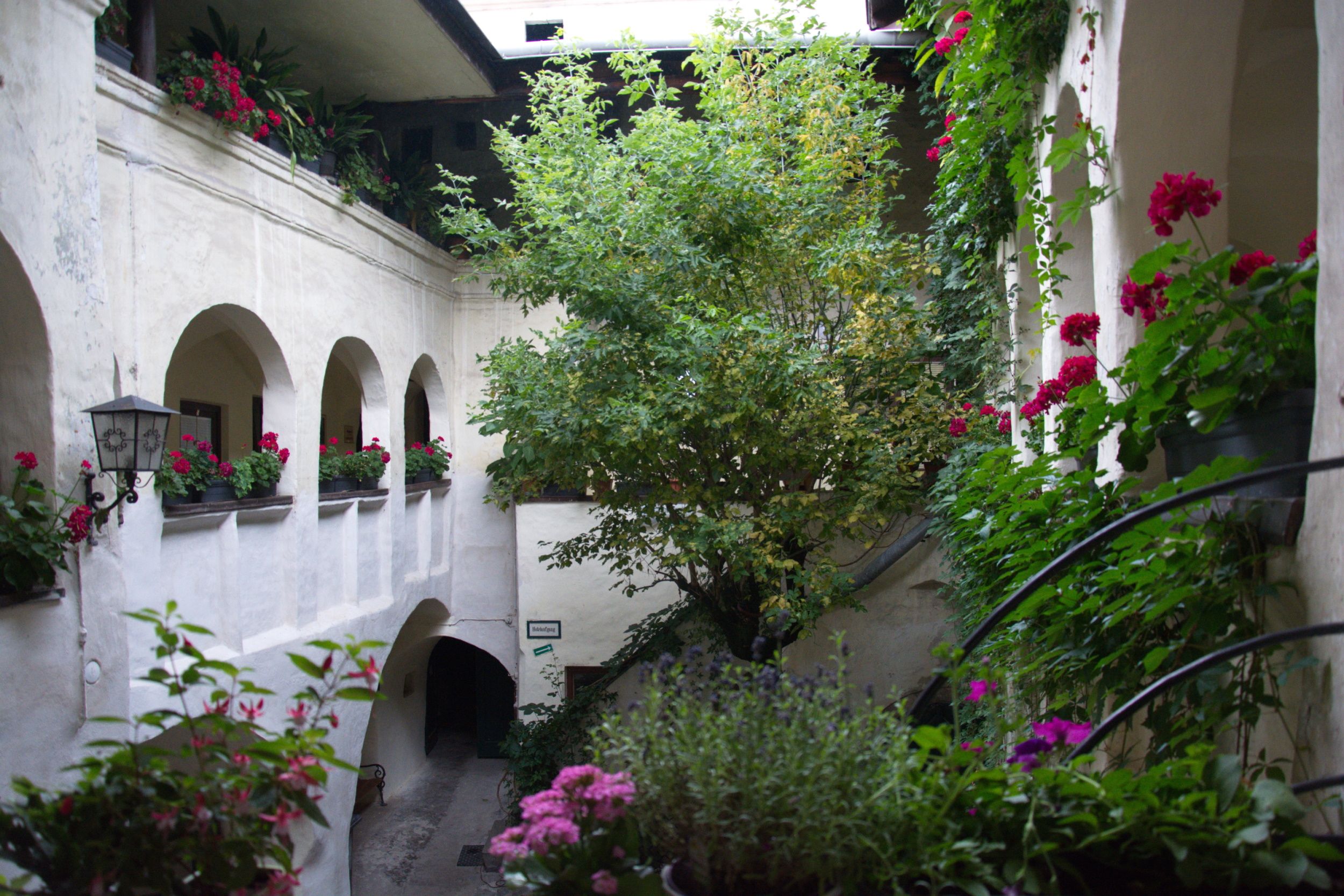 An inner courtyard with plants and flowers in pots, surrounded by white walls and arches.