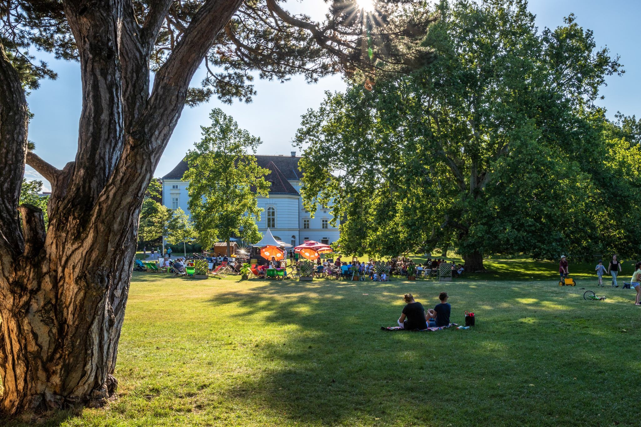 People relaxing in the park under trees, with a large building in the background.