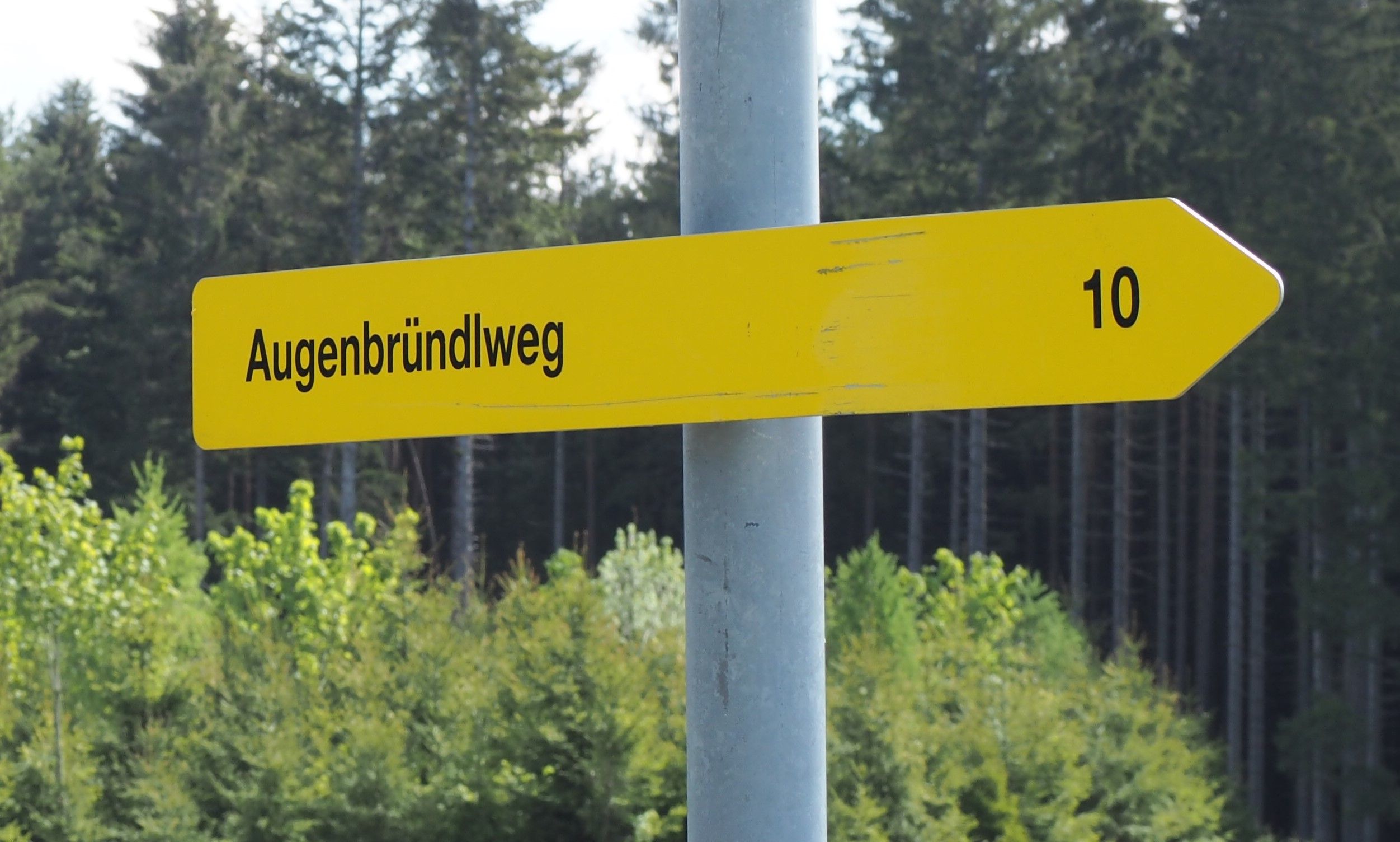 Yellow signpost with the inscription 'Augenbründlweg' and the number '10' in front of a forest background.