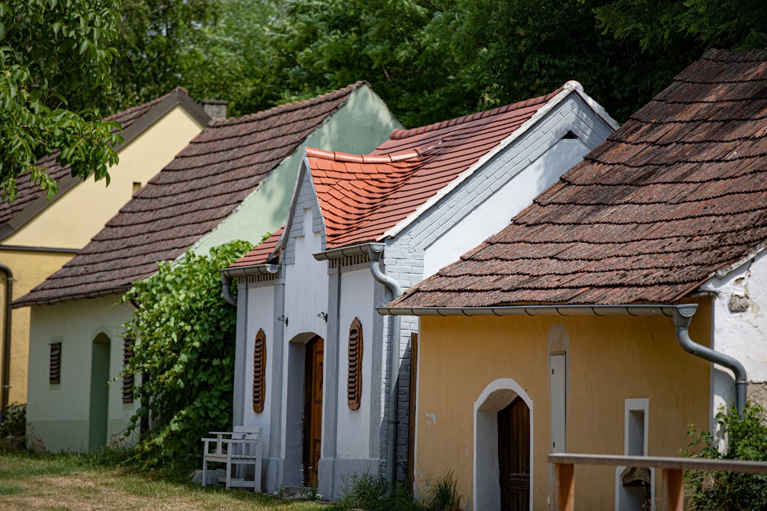 Colorful wine cellar lane with traditional wine cellars along a quiet street, lined with trees, in warm daylight.