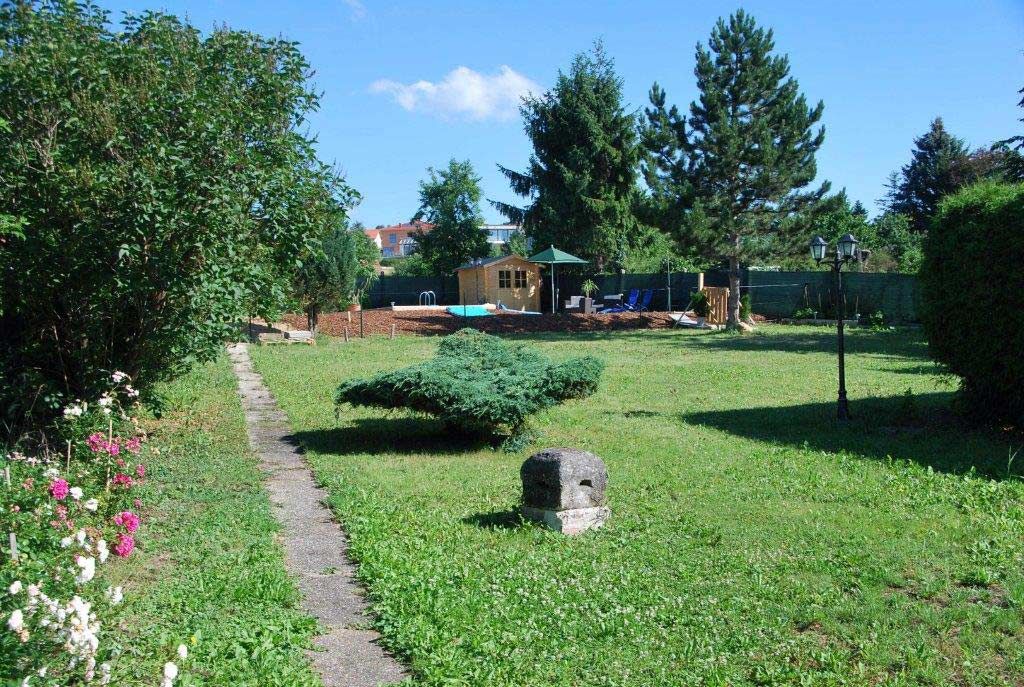 Garden with lawn, trees and a small path leading to a wooden house.