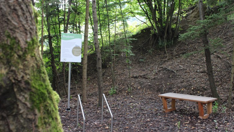 Healing forest Senftenberg, © Donau NÖ Tourismus GmbH