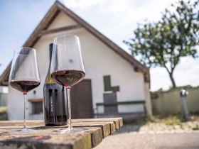 Weingl&auml;ser, &copy; Donau Nieder&ouml;sterreich Tourismus GmbH