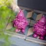 Two pink garden gnomes on patterned tiles next to a wooden box with plants.