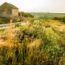 Person sitting on a bench next to a small building in a rural landscape with vineyards.