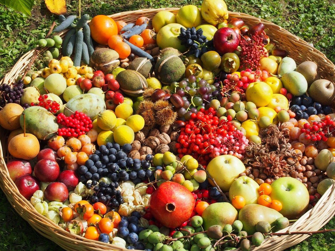 Fruit basket with various fruits from the Alchemist Park in Kirchberg am Wagram