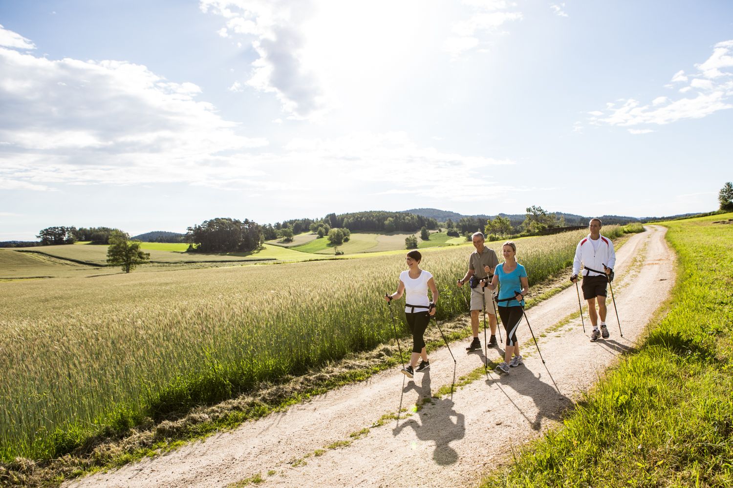 Four people Nordic walking on a country lane in a rural landscape.