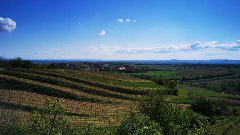 Vineyards and countryside under a blue sky in V&ouml;senau.